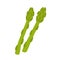 Asparagus stalks. Green spears of healthy vegetable. Fresh natural vegetarian food. Raw springs veggies. Colored flat