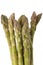 Asparagus tips bunch over white