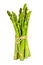 Asparagus vegetables