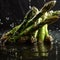 Asparagus with water droplets on the table in close-up.