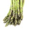 Asparagus on white background