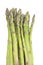 Asparagus on white background