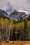 Aspen in Autumn along Bow Valley Parkway, Banff, Alberta, Canada