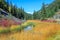 Aspen Grove Wetland Thompson-Nicola Highway 5A