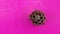 Aspen honeycombs of wild wasps on a pink background. Background picture.