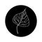 Aspen leaf editable icon in black rounded shape. Sketch hand drawn style illustration. Outline