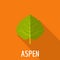Aspen leaf icon, flat style