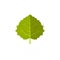 Aspen leaf icon, flat style