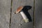 Aspen mushroom on a wooden background. Autumn flat lay. Edible mushroom.