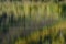 Aspen reflections in Parker Lake, Inyo National Forest, Sierra Nevada Range, California