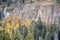 Aspen, spruce and sandstone cliff