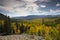 Aspen trees groves in Autumn at Ohio pass near Crested Butte Colorado America. Aspen grove tree Fall foliage change colour