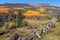 Aspens Along the Bachelor Loop, Creede Colorado