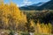 Aspens Along the Bachelor Loop, Creede Colorado