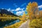 Aspens reflected in the water