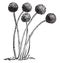 Aspergillus Glaucus vintage illustration