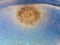 Aspergillus niger colony on saboraud dextrose agar medium