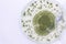 Aspergillus oryzae is a filamentous fungus, or mold that is used in food production, such as in soybean fermentation.