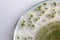 Aspergillus oryzae is a filamentous fungus, or mold that is used in food production, such as in soybean fermentation.