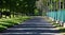 Asphalt avenue in the Park with rhythm of trees shadows on road