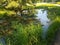 Asphalt bike trail with flooded grass area