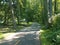 Asphalt biking trail with trees and a shortcut path through the grass