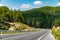 Asphalt curved road passing through the forest on a sunny day