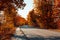 Asphalt curvy road with car and fallen leaves in autumn forest. Autumnal background