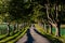 Asphalt Driveway Through Grove of Mature Trees - Horse Farm - Kentucky