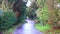 Asphalt footpath among the trees in the city