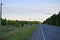 Asphalt high-speed highway in the forest in summer