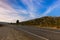 Asphalt Highland Lakes Road at Pine Lake area, Central Plateau.