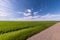 Asphalt highway empty road and clear blue sky with panoramic landscape