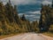 Asphalt highways road surrounded by forest, road sign, land transport and traveling background, backdrop