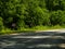 Asphalt highways road surrounded by forest, road sign, land transport and traveling background, backdrop