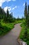 Asphalt hiking path, Nisqually Vista Trail, in Paradise area of Mt. Rainier National Park, WA