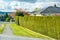 Asphalt passway and green hedgerow along backyard of residential house.