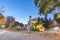 Asphalt road in the autumn street with trees and fallen leaves,