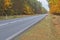 Asphalt road through an autumnal forest.