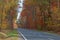 Asphalt road through an autumnal forest.