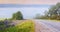 Asphalt road among blooming alpine meadows in foggy mountain