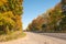 Asphalt road and bright autumn trees. Fairytale colorful autumn forest.Colorful leaves around the road