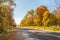 Asphalt road and bright autumn trees. Fairytale colorful autumn forest.Colorful leaves around the road