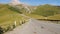 Asphalt road with cars in the background of high mountains with a glacier. Bottom perspective. On the roadside grazing