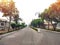 Asphalt road clean with colourful flowers