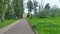 An asphalt road with concrete curbs and a paved sidewalk leads to the remote historical building. There are grassy lawns and trees