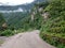 Asphalt Road in Countryside Mountain Forest