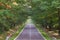 Asphalt road through deciduous forest.