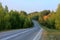 Asphalt road disappearing into horizon on background of meadows forests and blue sky