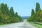 Asphalt road with dividing strip with trees and bushes on sides. Travel concept